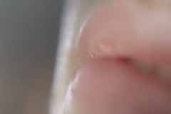 演唱会顶级视听 一站式视频娱乐体验
